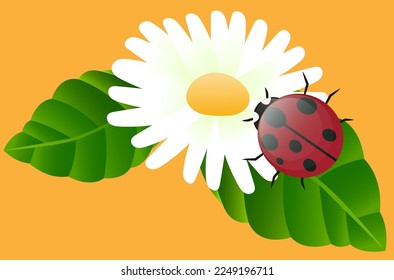 flower leaves and insect summer composition