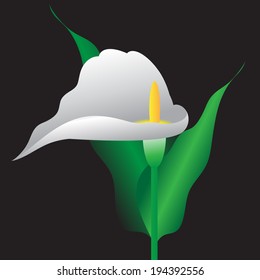 Flower with leaves on a black background.