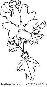 Flower with leaves on the trunk plant nature doodle linear cartoon coloring book