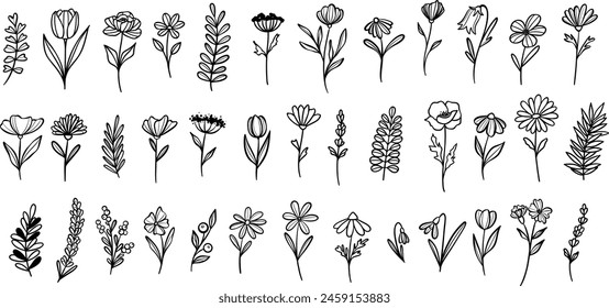 Flower and leaves, plant illustration set, vector clip art elements, isolated
