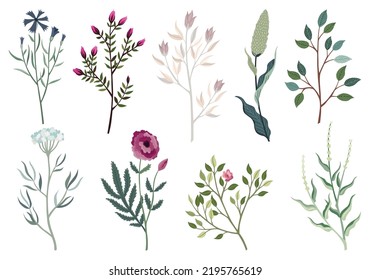 Flower and leaves set. Different floral elements in watercolor.Vector composition for designing greeting cards or invitations