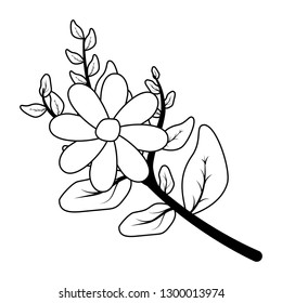 flower leaves stem foliage