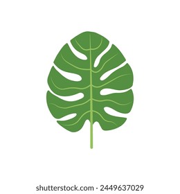 Flower leaves summer card elements spring illustration
