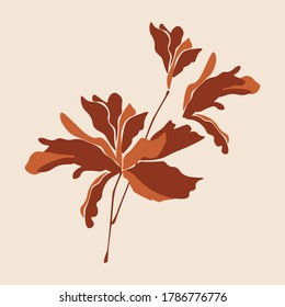 Flower and leaves vector illustration. Summer tropical plant. Vector tropical leaves. Botanical abstract art.