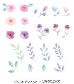 Flower and leaves watercolor style illustration set.