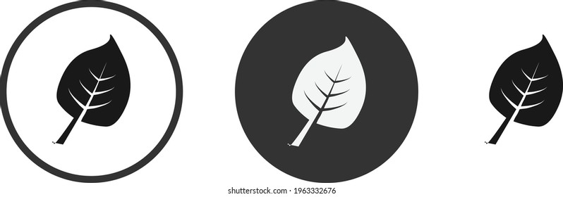 Flower and  leaves. Wedding concept - flowers. Floral poster, invite. Vector arrangements for greeting card or invitation design