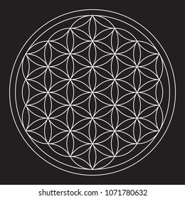 Flower of Life