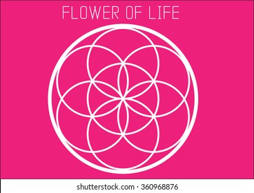Flower of life.