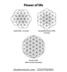 Flower of life 6,19 and circle boundary. Sacred Geometry Vector Design Elements. This religion, philosophy, and spirituality symbols. the world of geometric mystic mandalas. intricately illustrations.