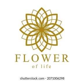 Flower Life Ancient Symbol Beautiful Elegant Stock Vector (Royalty Free ...