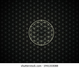 Flower Life Background In Dark And Bight Colors