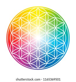 Flower of Life., Colorful circular rainbow gradient symbol on white background.