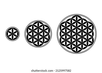 Flower of Life, Core and Seed of Life with black filled petals. Geometric figures and spiritual symbols of the Sacred Geometry. Overlapping circles, forming flower-like patterns. Illustration. Vector.