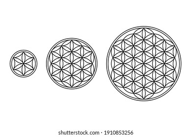 Flor de vida, núcleo y semilla de vida. Figuras geométricas y símbolos espirituales de la Geometría Sagrada. Círculos que sobrevuelan y forman patrones como flores. Ilustración en blanco y negro sobre blanco. Vector