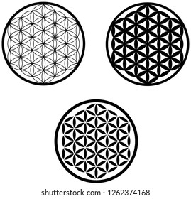 Flower of life crystal grid healing grid sacred geometry pattern design isolated on white