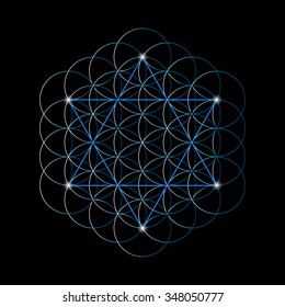 Flower Of Life with a David star. Sacred geometry. Vector illustration. 