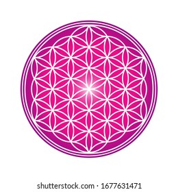 Flower of Life design image, vector illustration. Sacred geometry, symbol healing and balance.