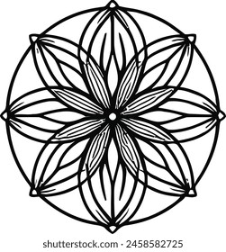 Flower of life drawing in vector