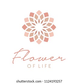 Flower Of Life Floral Lotus Star Pattern Logo Design Inspiration