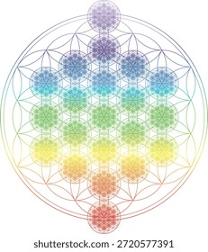 Flor de la vida totalmente coloreada con siete chakras