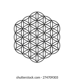 Flower of life, geometric, geometrical shape, line art design, vector illustration EPS 10