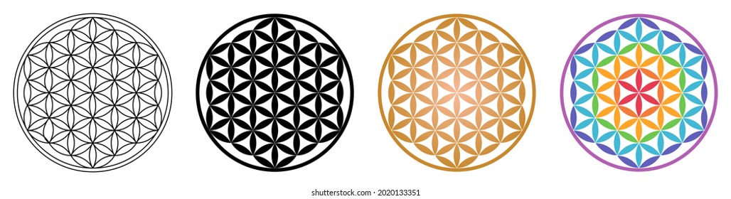 Flower of life geometric pattern ornament from overlapping circles. Outline black golden and rainbow version