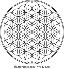 Flower of life geometry vector illustration