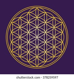 Flower of Life - Gold on dark purple background - a geometrical figure, composed of multiple evenly-spaced, overlapping circles. A strong symbol since ancient times, forming a flower-like pattern.