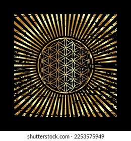 Flower of life, gold retro spiritual mandala, Sacred Geometry. Vintage radiant rays symbol of harmony and balance. Mystical talisman, square vector isolated on black background 