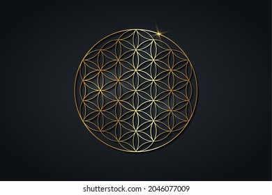 flower of life, gold spiritual mandala, Sacred Geometry. Bright golden symbol of harmony and balance. Mystical talisman, luxury round vector isolated on black background 