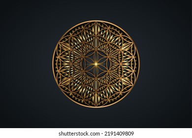 Flor de vida, Mandala espiritual dorada, Geometría sagrada. Brillantes rayos dorados símbolo de armonía y equilibrio. Talisman místico, vector de redondeo de lujo aislado en fondo negro