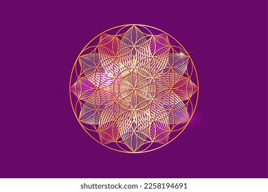 flower of life, gold spiritual mandala, Sacred Geometry. Bright golden symbol of harmony and balance. Mystical talisman, luxury lotus vector isolated on purple background 