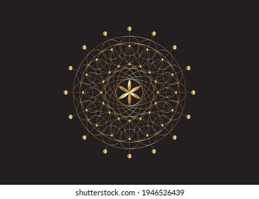 Flower of Life gold symbol Sacred Geometry.  Geometric mystic mandala of alchemy esoteric Seed of life. Golden vector dotted line art divine meditative amulet isolated on black background