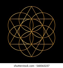 Flower of Life. Golden Vector Sacred Geometry isolated on black.