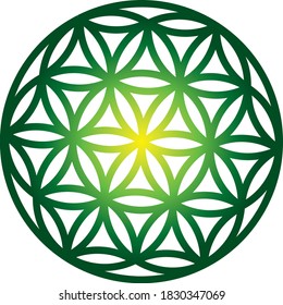 flower of life green and yellow colored