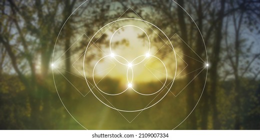 Flower of life - the interlocking circles ancient symbol in front of blurry photo background.