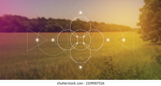 Flower of life - the interlocking circles ancient symbol in front of blurry photo background.