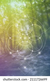 Flower of life - the interlocking circles ancient symbol in front of blurry photo background.