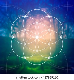 Flower of life - the interlocking circles ancient symbol. Sacred geometry. Mathematics, nature, and spirituality in nature. Fibonacci row. The formula of nature. Self-knowledge in meditation. 