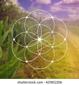 Flower of life - the interlocking circles ancient symbol. Sacred geometry. Mathematics, nature, and spirituality in nature. Fibonacci row. The formula of nature. Self-knowledge in meditation.