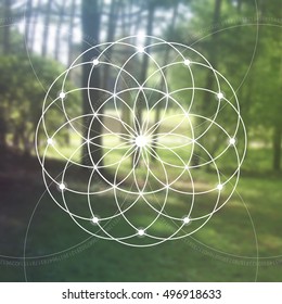 Flower of life - the interlocking circles ancient symbol in front of blurred photorealistic nature background. Sacred geometry - mathematics, nature, and spirituality in nature. The formula of nature.