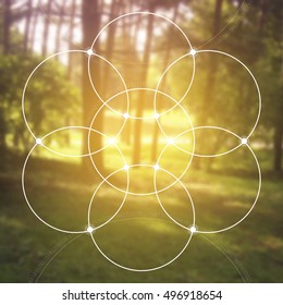 Flower of life - the interlocking circles ancient symbol in front of blurred photorealistic nature background. Sacred geometry - mathematics, nature, and spirituality in nature. The formula of nature.