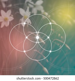 Flower of life - the interlocking circles ancient symbol in front of blurred photorealistic nature background. Sacred geometry - mathematics, nature, and spirituality in nature. The formula of nature.