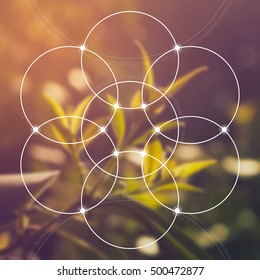 Flower of life - the interlocking circles ancient symbol in front of blurred photorealistic nature background. Sacred geometry - mathematics, nature, and spirituality in nature. The formula of nature.