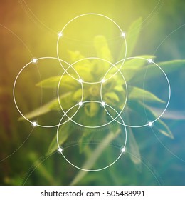 Flower of life - the interlocking circles ancient symbol in front of blurred photo realistic nature background. Sacred geometry - mathematics, nature, and spirituality in nature.