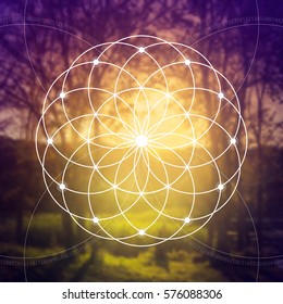 Flower of life - the interlocking circles ancient symbol in front of blurred photorealistic natural background. Sacred geometry - mathematics, nature, and spirituality, the formula of nature.