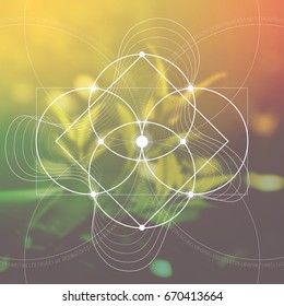 Flower of life - the interlocking circles ancient symbol in front of blurred photorealistic natural background. Sacred geometry - mathematics, nature, and spirituality, the formula of nature.