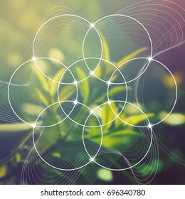 Flower of life - the interlocking circles ancient sacred geometry symbol in front of blurred photorealistic natural background. 
