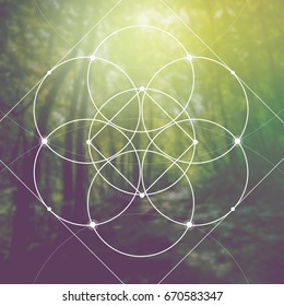 Flower of life - the interlocking circles and squares ancient sacred geometry symbol in front of blurred photorealistic natural background.