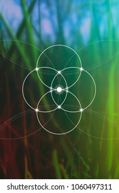 Flower of life interlocking circles and triangles sacred geometry illustration with golden ratio digits in front of photographic background.